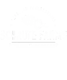 Discover Schrute farms gift. Dwight-claw-schrute beet juice T-Shirts