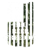 Discover BBQ Beer Freedom USA Flag Vintage Camouflage T-Shirts