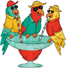 Discover Funny Parrots Drinking Birds Hawaii Tropical Bird T-Shirts