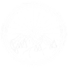 Discover Mountain Bike Wheel Bike Trails MTB Rider Cyclisto T-Shirts