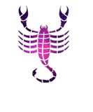Discover Scorpio Zodiac Sign