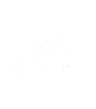 Discover Minnesota Moose And Mountains Souvenir Nature T-Shirts