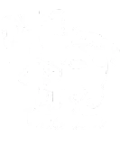 Discover Mens Best Frenchie Dad Ever T-Shirts Daddy French