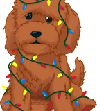 Discover Goldendoodle Christmas for Adults Light Strands T-Shirts