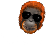Discover Monkey Ape Orang Utan - Hey girl you're awesome T-Shirts