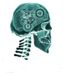 Discover MOTOCROSS INCURABLE X-RAY FUNNY BIKER GIFT IDEA T-Shirts