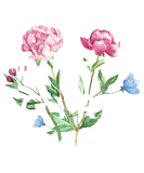Discover Eden Girl - Paradise, Garden Of Eden, Gardening