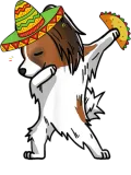 Discover new Funny Papillon Dog Dabbing Taco Cinco De Mayo T-Shirts