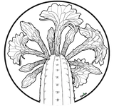 Discover Trichocereus Pachanoi Flower Circle Tattoo Black