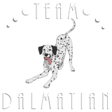 Discover Team Dalmatian - Black and White T-Shirts