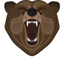 Discover Beer Brown Bear Grizzly Brown Alcohol Drinking T-Shirts