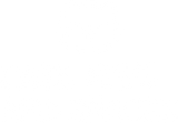 Discover Cats Naps Snacks T-Shirts
