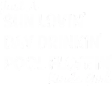 Discover Sun Lovin Day Drinkin Pool Floatin Kinda Girl T-Shirts