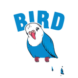 Discover Bird Budgie Wife Gift T-Shirts