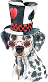 Discover Dalmatian Dog/ Funny Dog T-Shirts