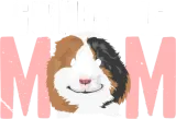 Discover Sweet Guinea Pig Mom T-Shirts