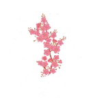 Discover Dragon  With Sakura Branch Cherry Blossom T-Shirts