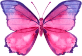 Discover Cute Pink Watercolor Butterfly T-Shirts