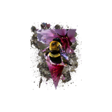 Discover Colorful Bee T-Shirts