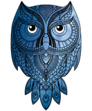 Discover Blue Owl With Universe T-Shirts