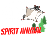 Discover Sugar Glider Gift Australia Squirrel Baby T-Shirts