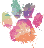 Discover Cat Dog Paw Print Watercolor Rainbow Abstract Anim T-Shirts