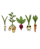 Discover Garden Gangster for a Vegetable Gardener T-Shirts