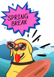 Discover funny spring break dog surfing/underdog surfer T-Shirts