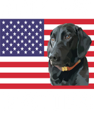 Discover Independence Day 4th of July Black Labs Matter T-Shirts