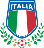 Discover Italy flag with olive branch T-Shirts