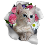Discover Funny white cat with rose T-Shirts