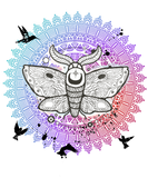 Discover Moth Mandala T-Shirts