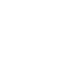Discover Spider Venom Logo Graphic T-Shirts
