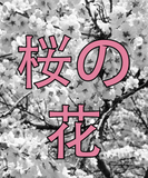 Discover cherry blossoms Japanese black and white Sakura T-Shirts