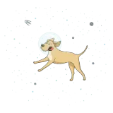 Discover Labrador Dog Playing In Space T-Shirts