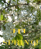 Discover Hi Spring!