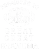 Discover Promoted To Great Great Grandma Est 2020 birthday T-Shirts
