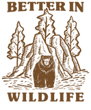 Discover Mountains, Wilderness And Bears T-Shirts