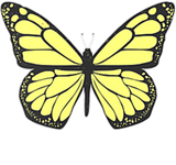 Discover Yellow Butterfly Aesthetic Clothing Soft Grunge T-Shirts