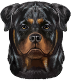Discover Rottweiler Dog Face Zip Gift T-Shirts