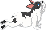 Discover French Bulldog Yoga White Black Breeding French T-Shirts