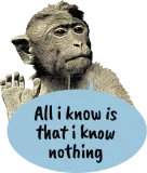 Discover All i know is that i know nothing - Smart monkey T-Shirts