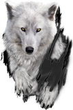 Discover Walking and Staring White Wolf T-Shirts
