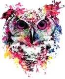 Discover Owl Classic T-Shirts, Gift for Owl Lovers, Owl T-Shirts