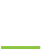 Discover Dog Training In Progress Dog Trainer