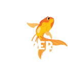 Discover Gold Fish Breeder Aquarium Fish Keepers T-Shirts