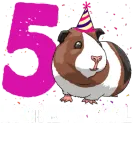 Discover Birthday Girl 5 Guinea Pig T-Shirts