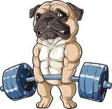 Discover Pug Dog Working Out Funny Pug Fitness gym T-Shirts