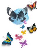 Discover Butterflies 3D T-Shirts