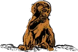 Discover Rhesus Monkey Baby (DDP, Wood Carving Art) T-Shirts